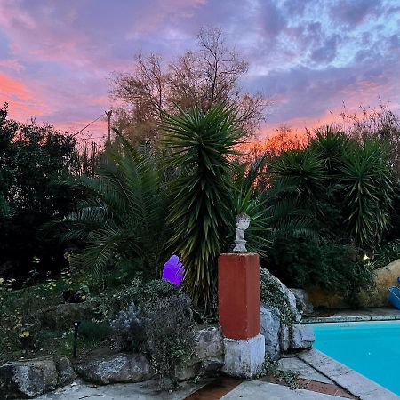 Le Clos De L'Isle Arles Exteriér fotografie
