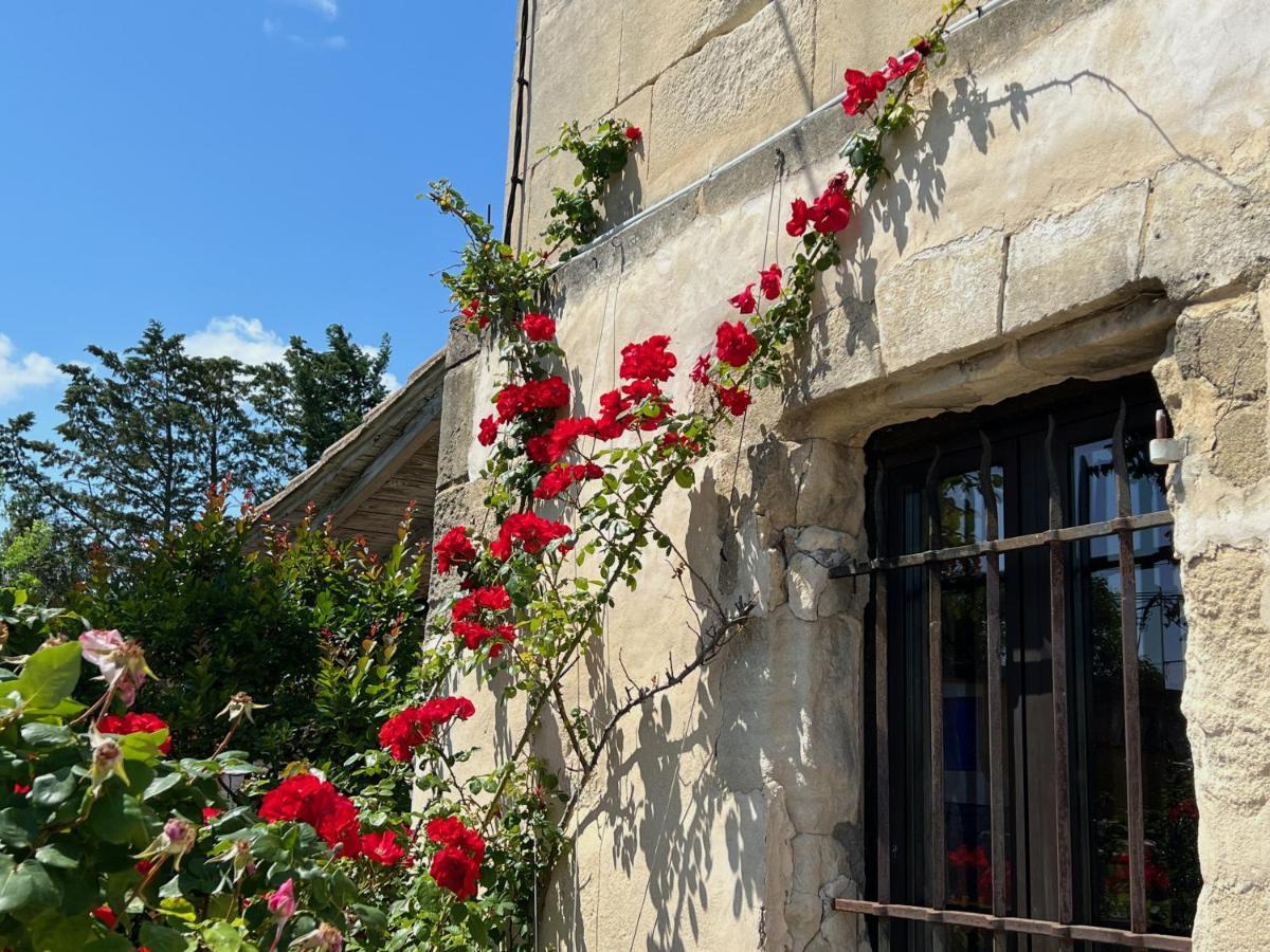 Le Clos De L'Isle Arles Exteriér fotografie